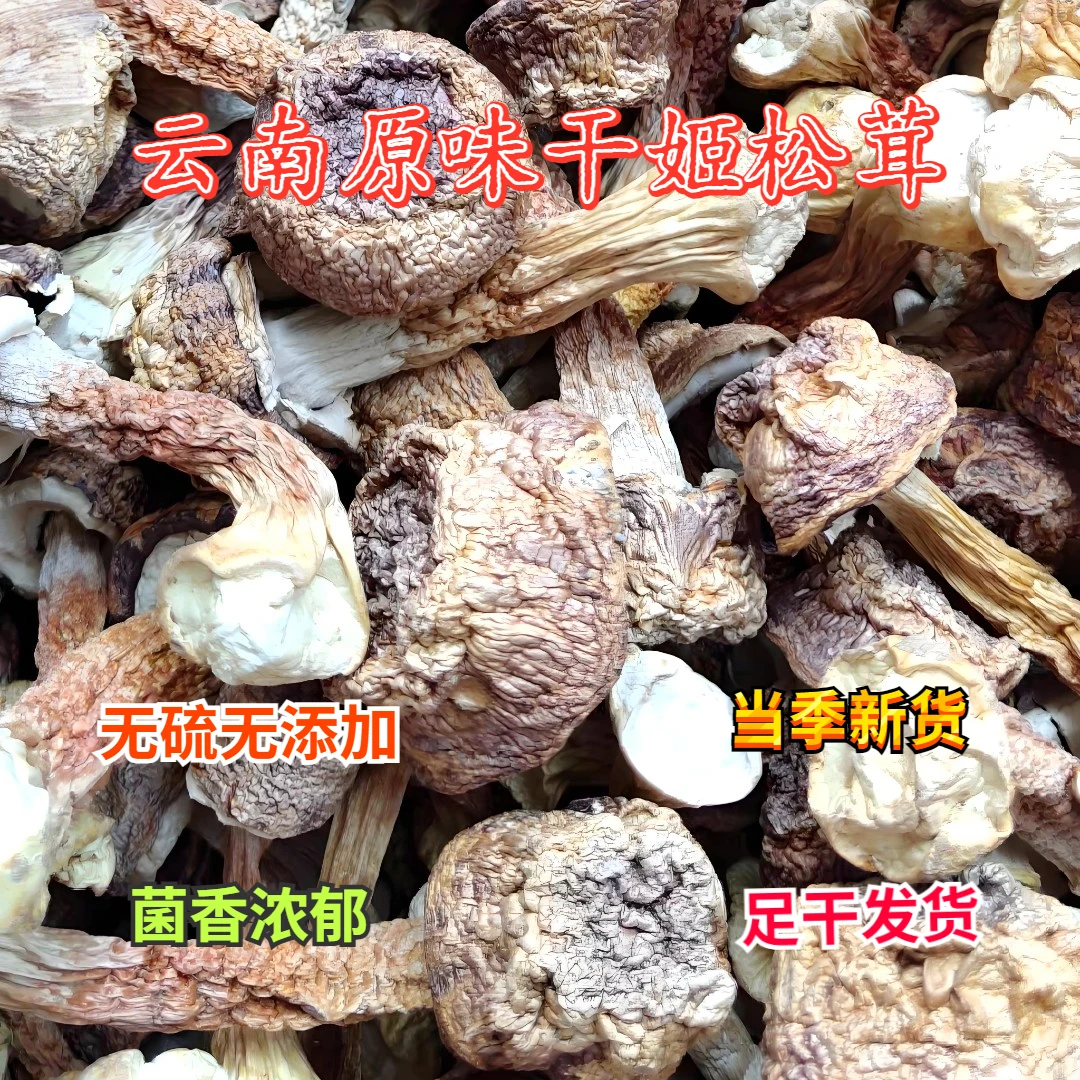 云南特产香格里拉精选巴西菇食用菌煲汤好物原味无硫姬松茸干货