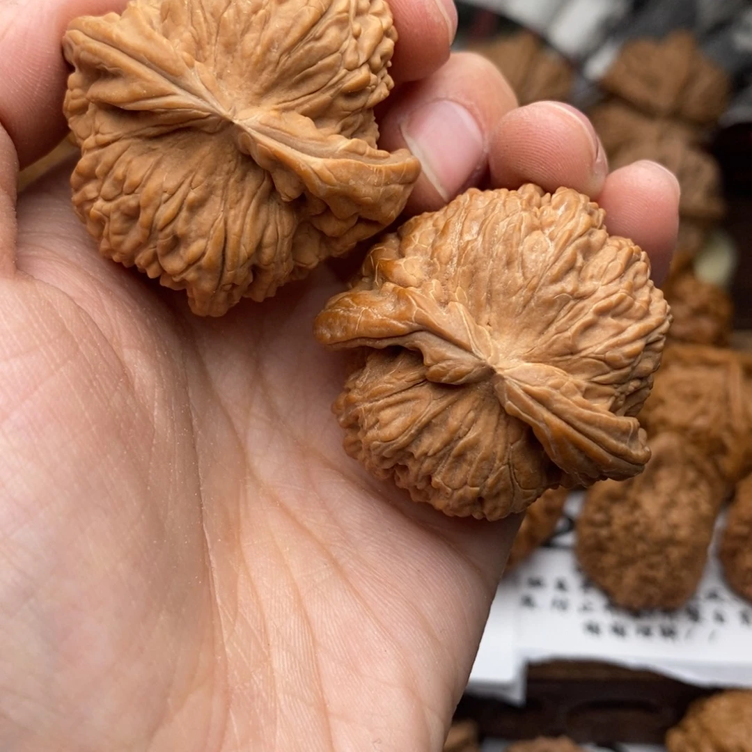 把件文玩核桃057号39白狮子左右逢缘