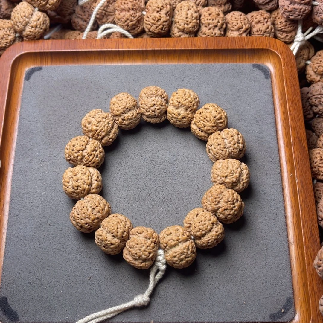 稀***贵菩提籽类15号金刚菩提矮壮爆肉梁梅花22