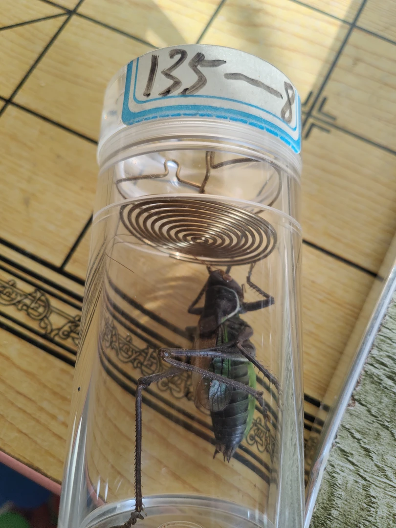 老王罐子60一135里的大憨蛤蟆憨