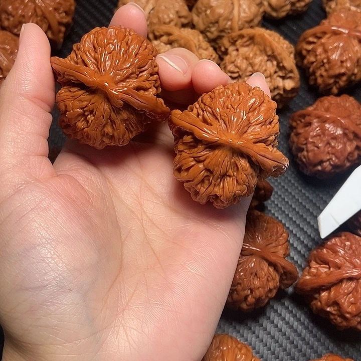 城***X木质类45四座楼。