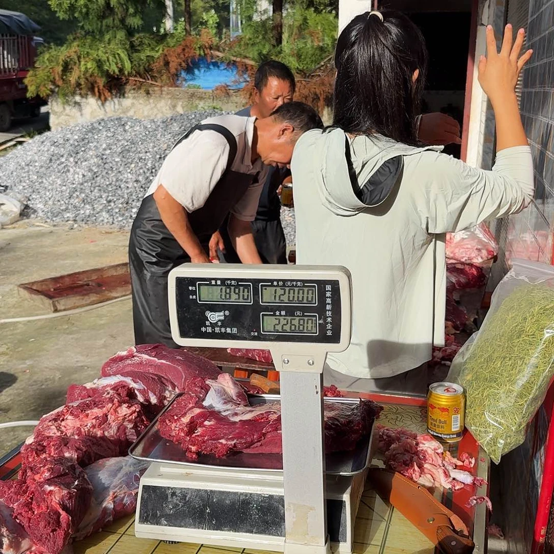 散装土黄牛中国大陆前腿