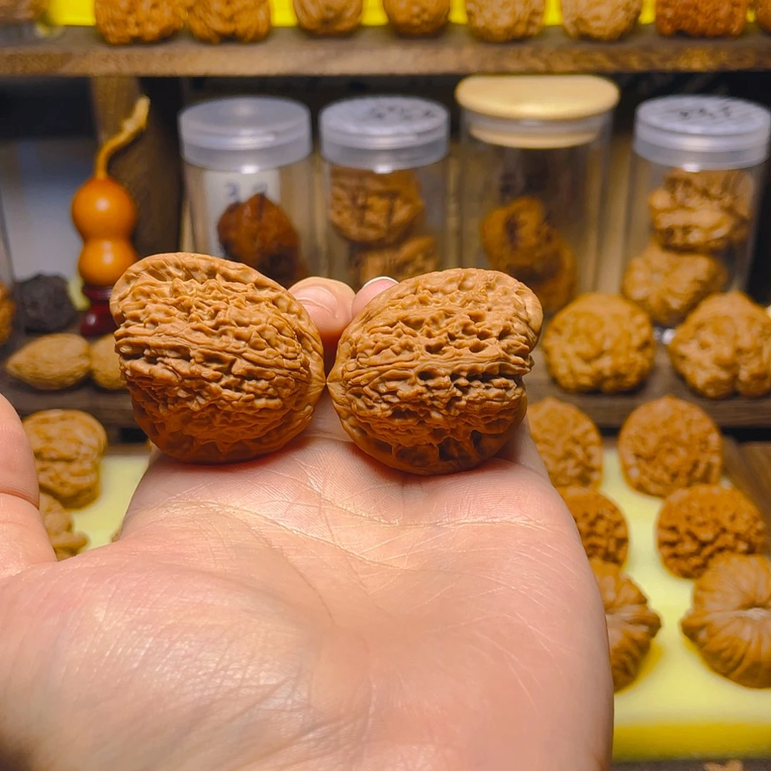 41尺全品天使之翼