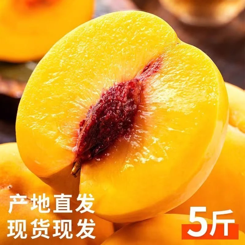 湖北锦绣红心大黄桃露天种植现摘现发脆甜爆汁新鲜水果
