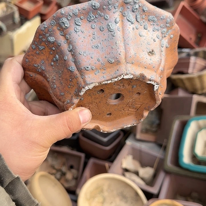 我的朋友在哪里我想我可以做一条自己