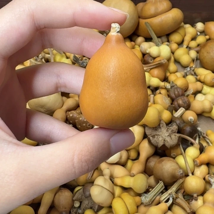 葫芦葫芦葫芦不包邮