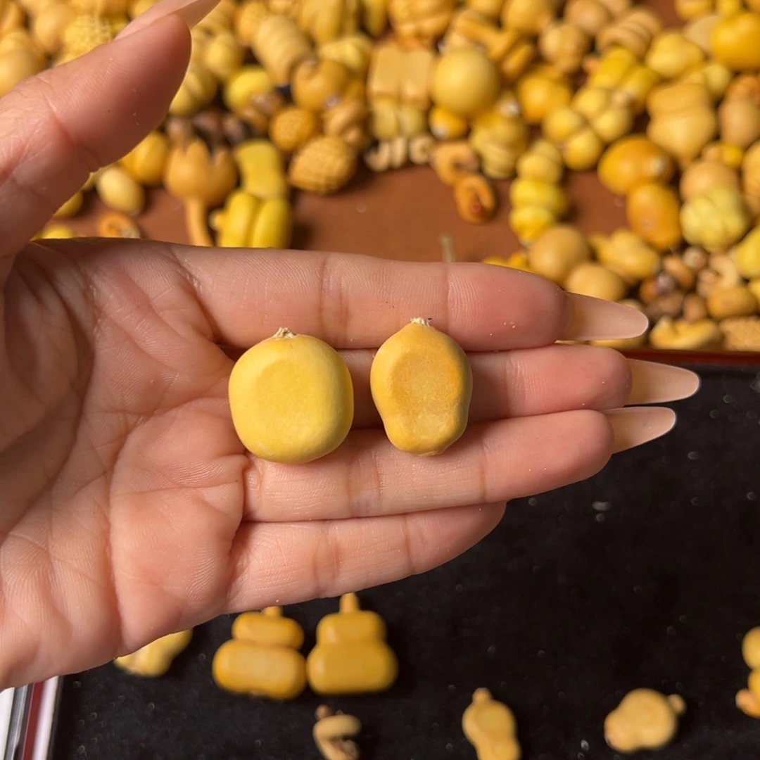 豆***瓜大叶紫檀（黑酸枝木类）