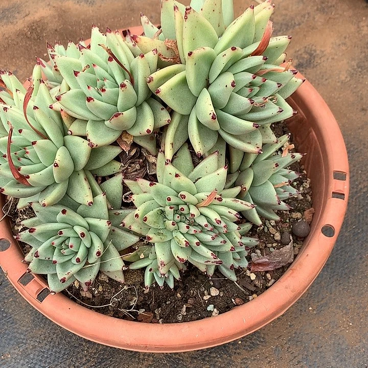 L*e美热特价活动开始啦