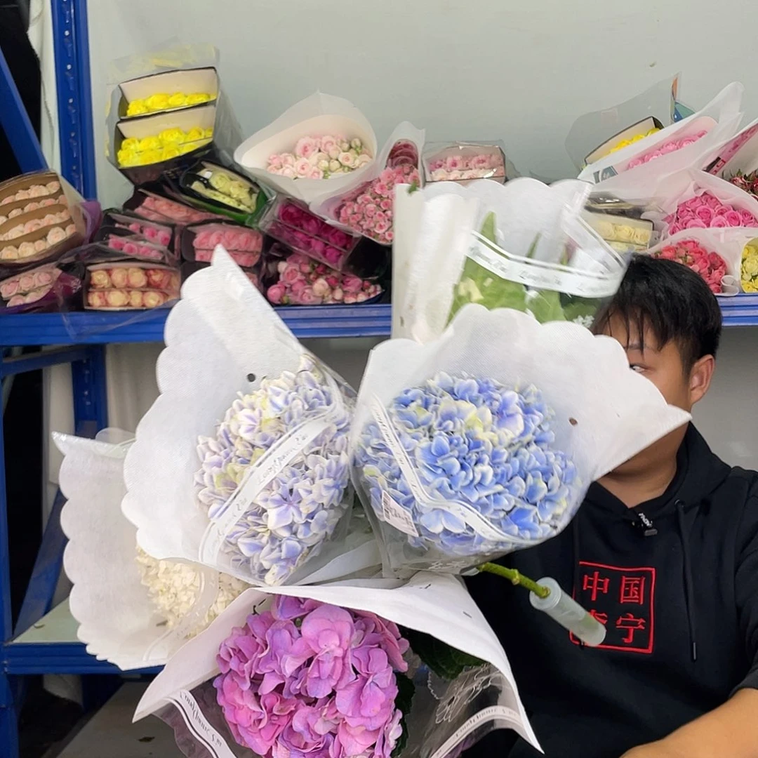 15号绣球5支包邮发货