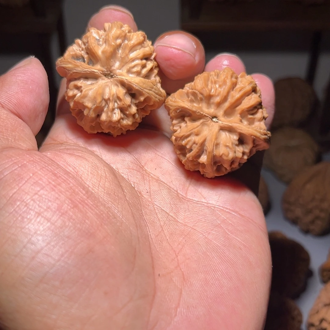 1***1核桃文玩核桃野牛