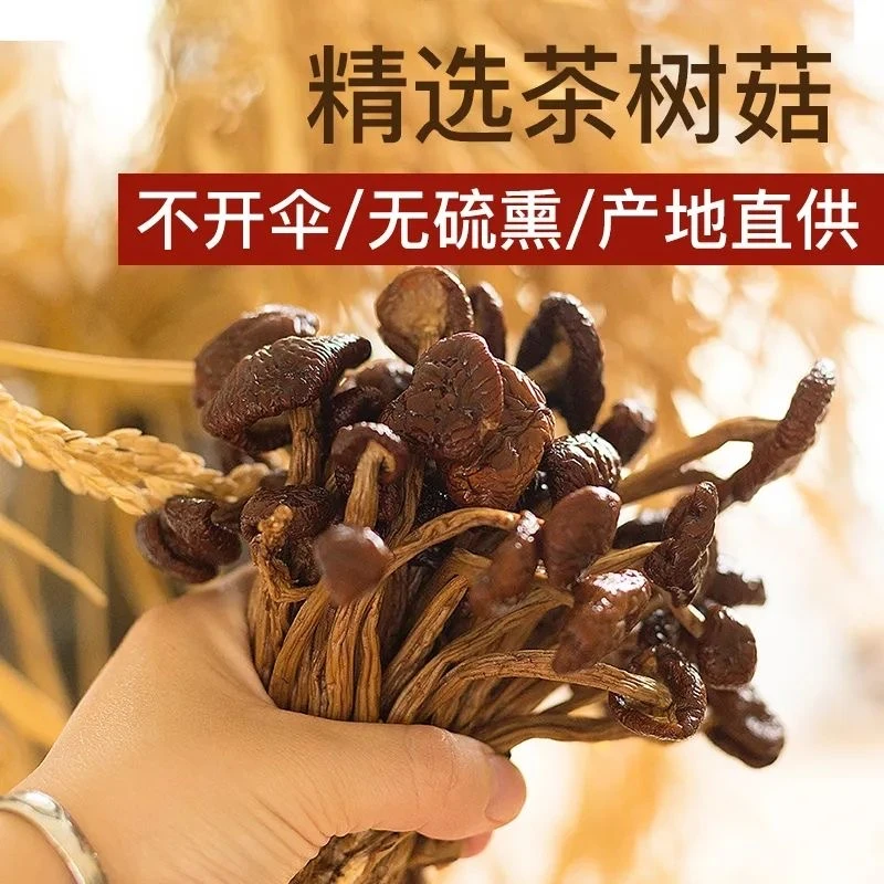 茶树菇干货丨滋补营养炖煮煲汤火锅食材天然无硫食材