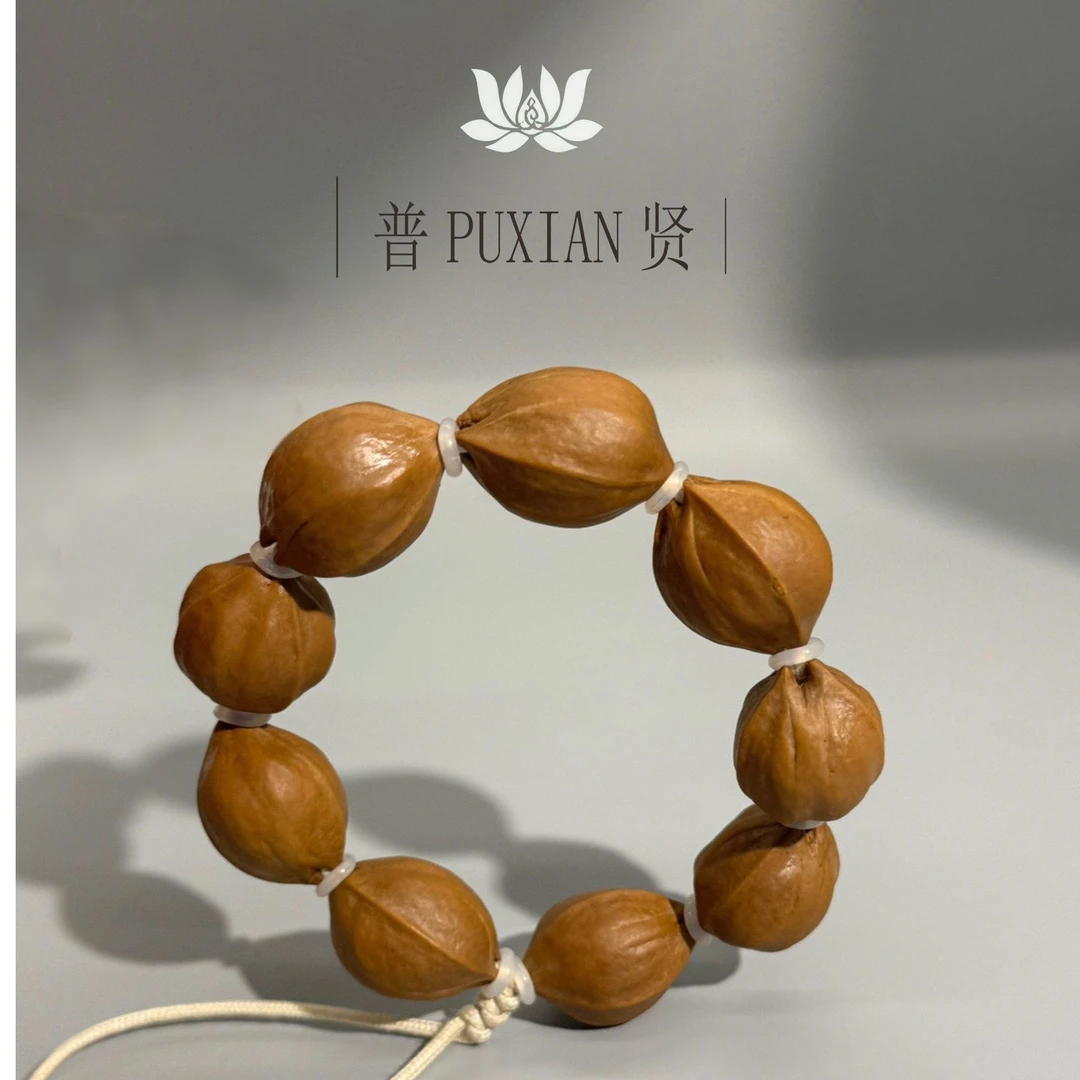 普贤PUXIAN素核 我本原生！滴药未吃！1.9尺原生态正宗梅林铁核素串