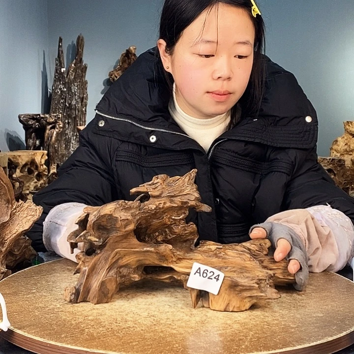 茶盏何*有624株木的随行的根艺