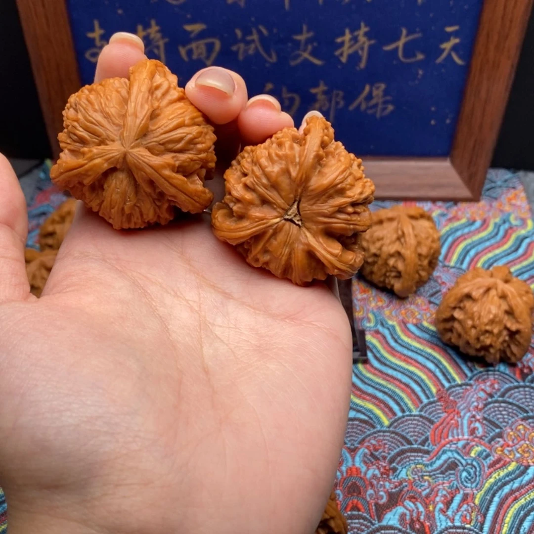 【闪购商品】✨**✨白狮