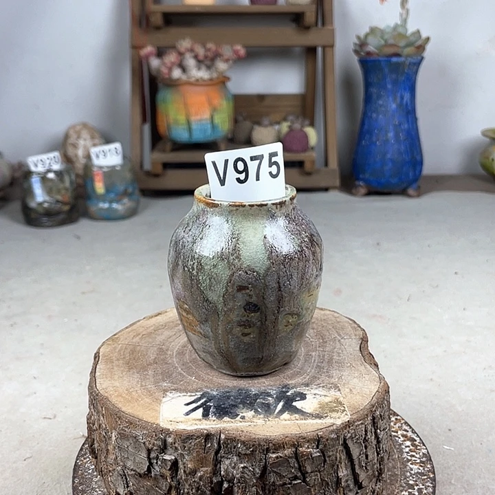 紫砂花盆开播福利 陶瓷花盆