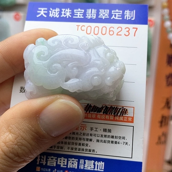 翡翠颈饰未镶嵌每天