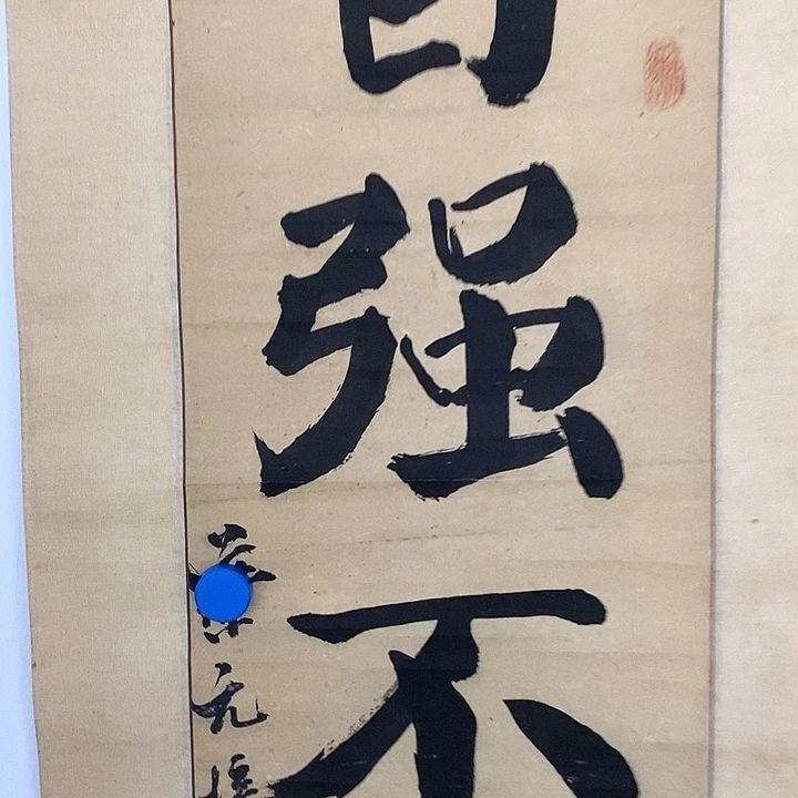 自***观横款1111111111，不1