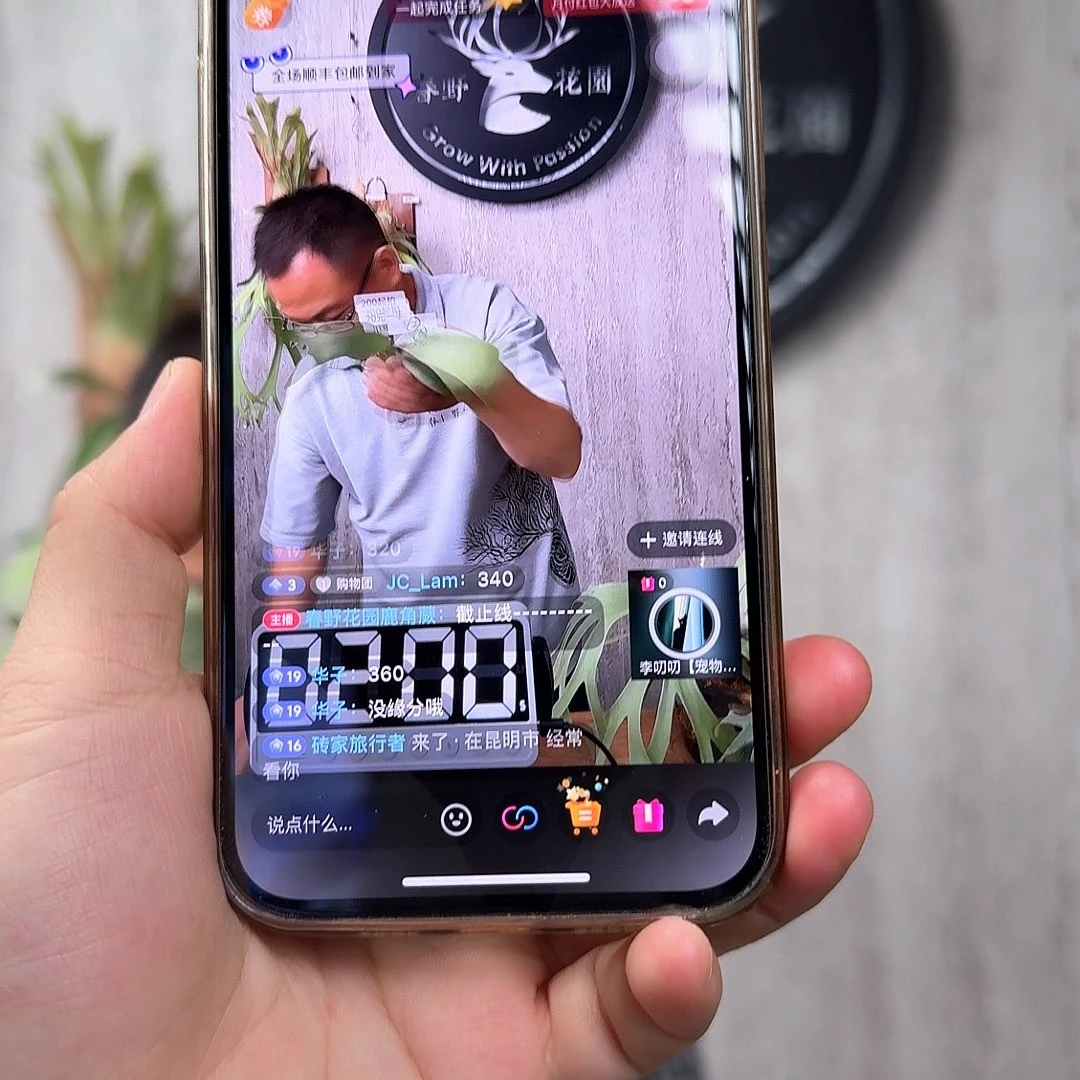 完全开放绿植绿植绿植