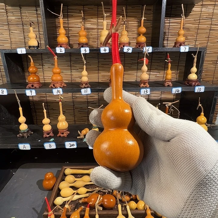 用***0蚂蚁蚂蚁蚂蚁蚂蚁