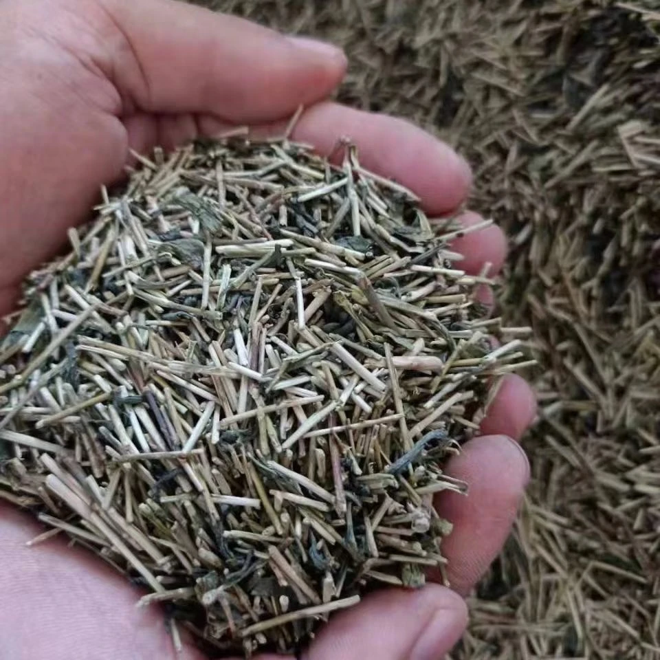 猫砂茶叶梗去甲醛家用去味无尘吸水除臭家用伴侣可冲去味去除异味