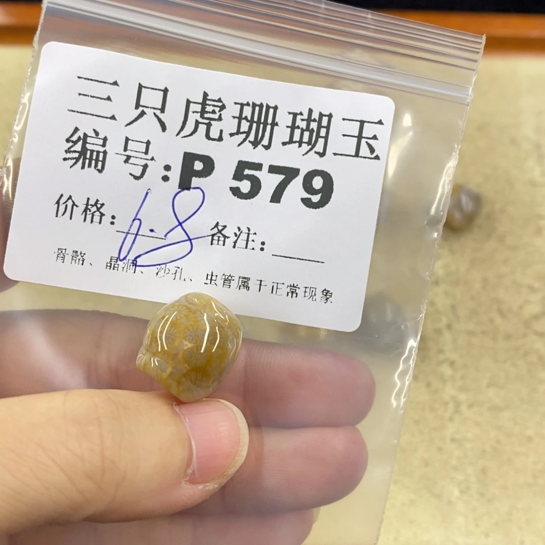 硅化珊瑚（珊瑚玉）1未镶嵌ʚ****ɞ