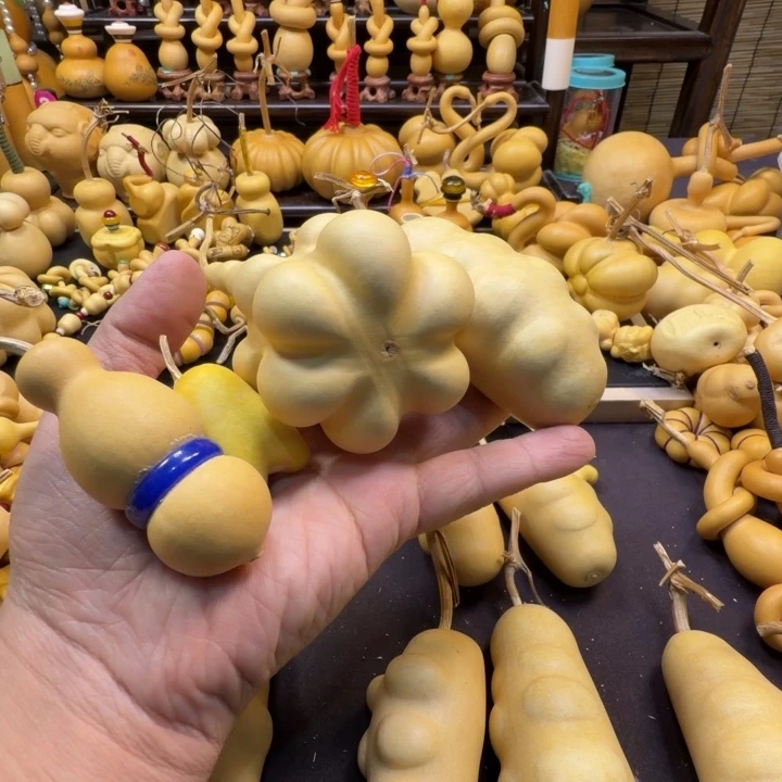婵***吖精品大胖龟海参一个