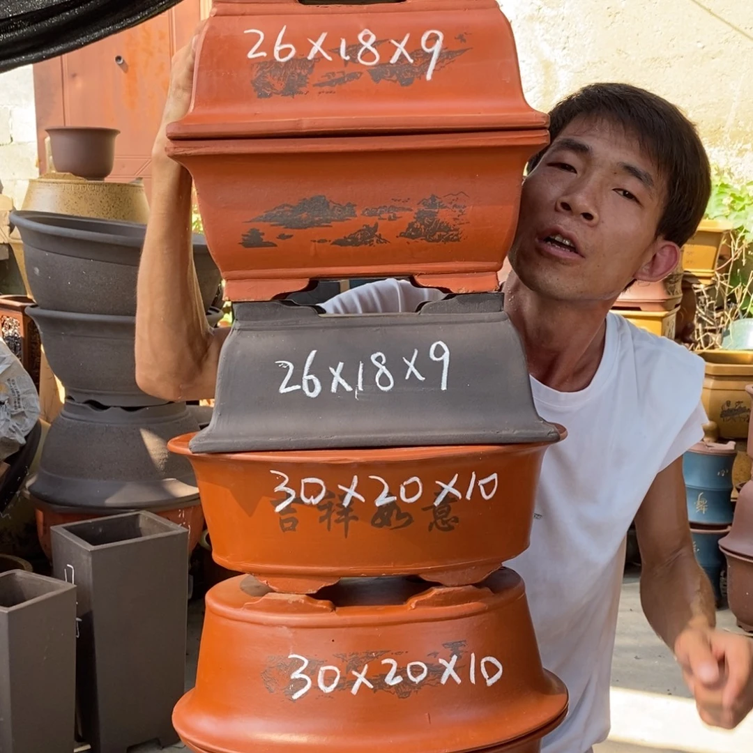 紫砂紫砂紫砂紫砂
