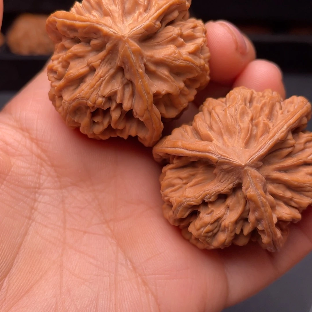 秦岭山脉文玩核桃