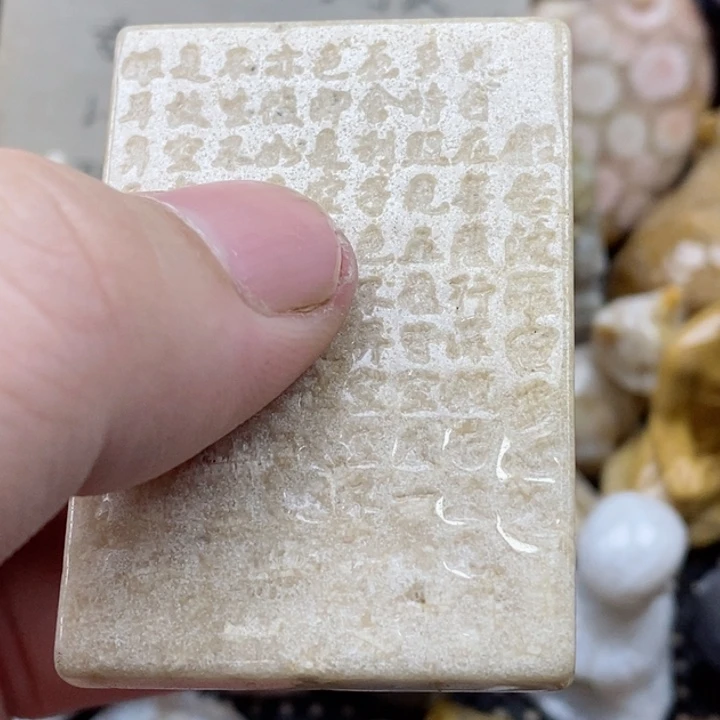 颈饰未镶嵌硅化珊瑚（珊瑚玉）有瑕