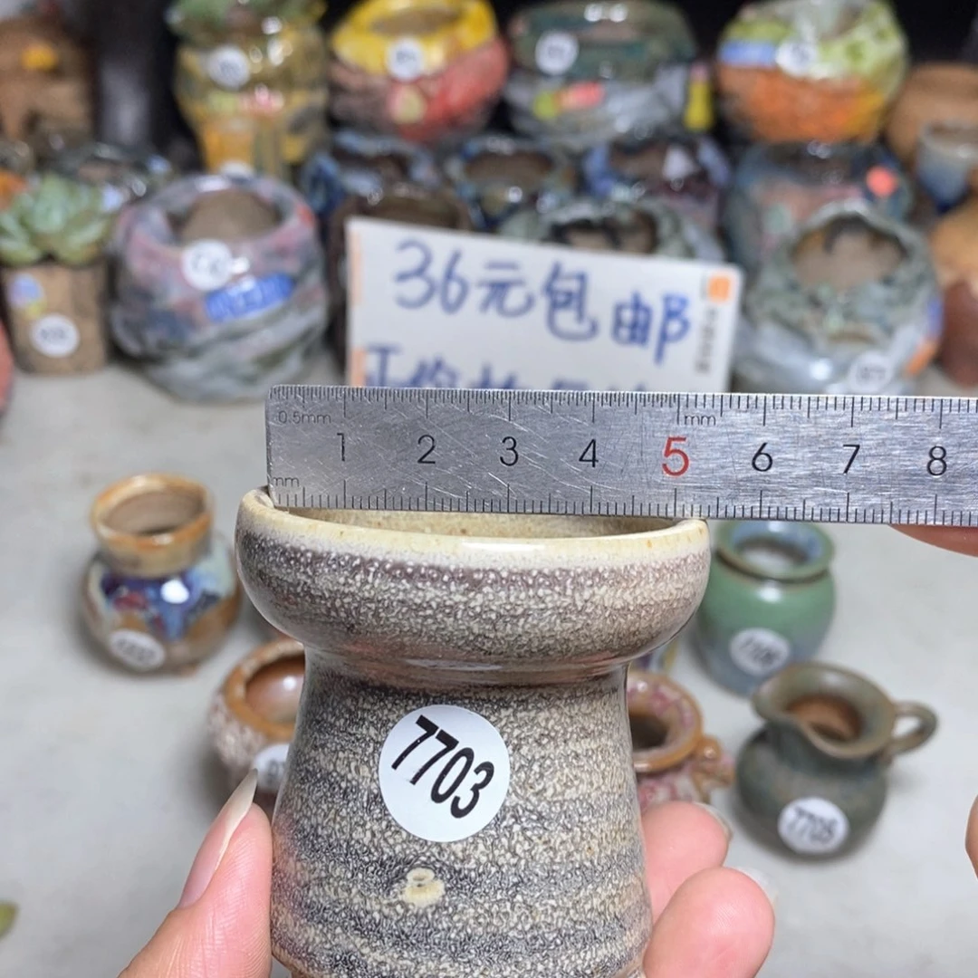 拍5送一个小礼物