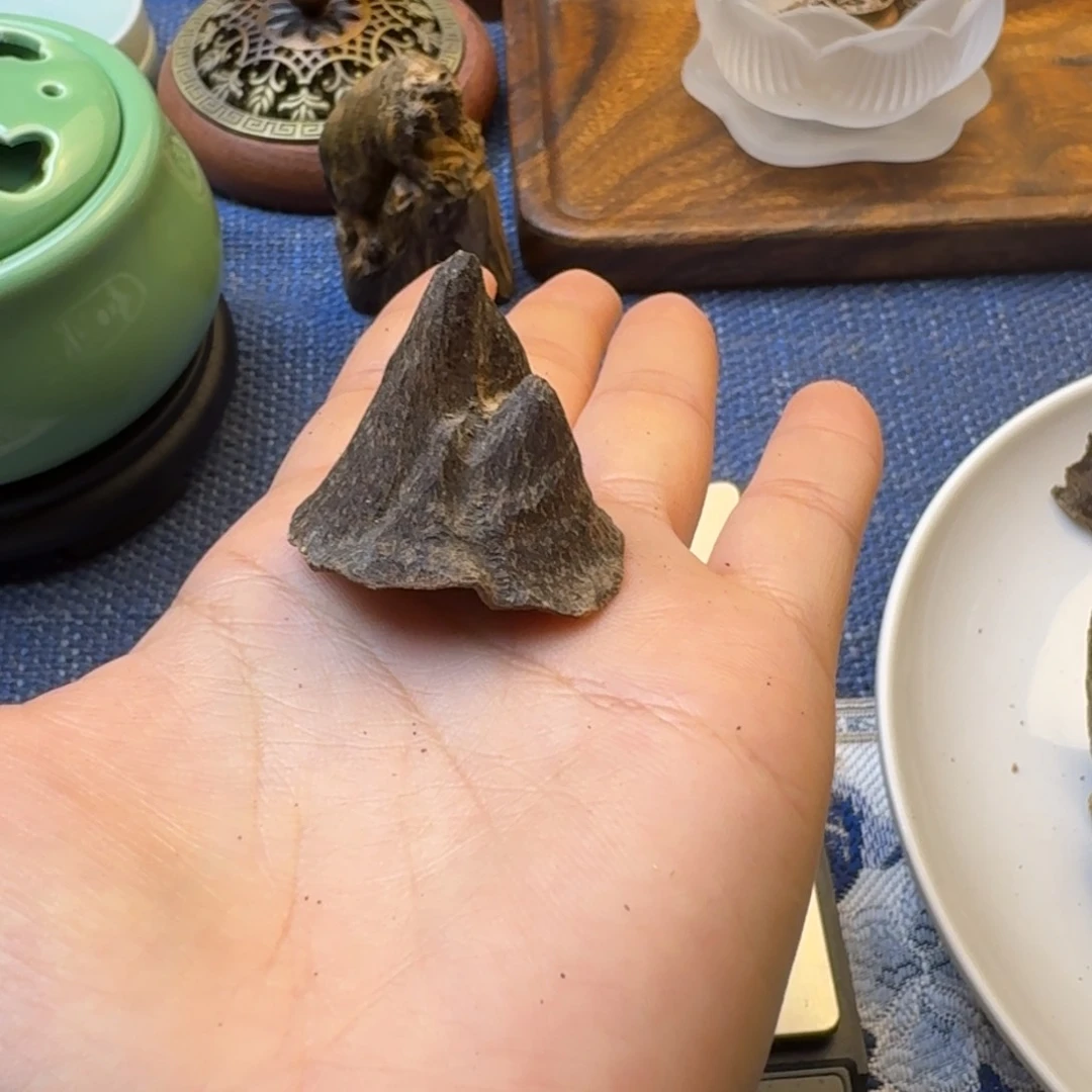 树脂制品Y*维深圳梧桐山壳仔一个