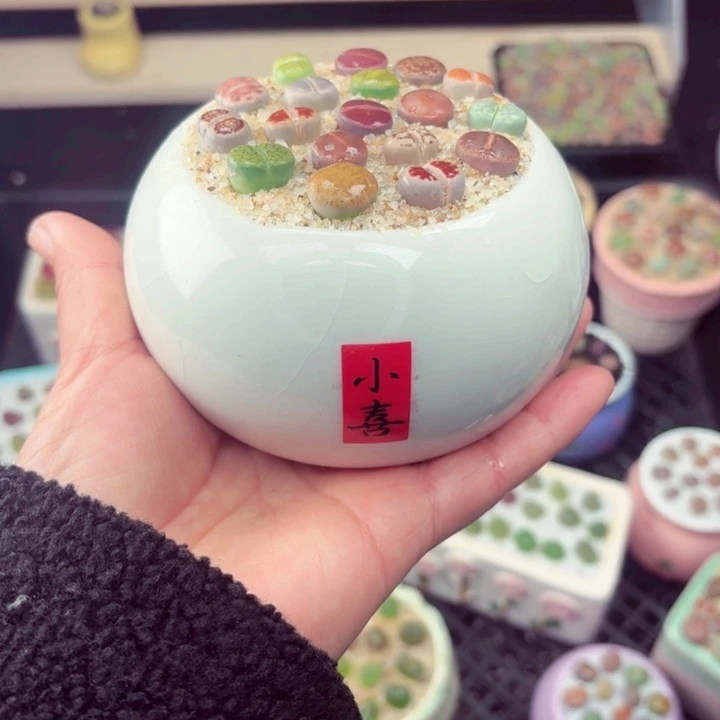 633零下地区记得拍保温箱满18包邮