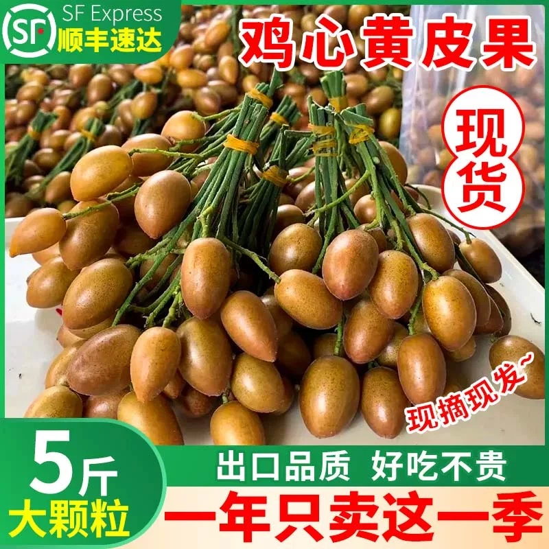 顺丰广东鸡心黄皮果新鲜5斤I10斤当季现摘酸甜黄弹子水果孕包邮