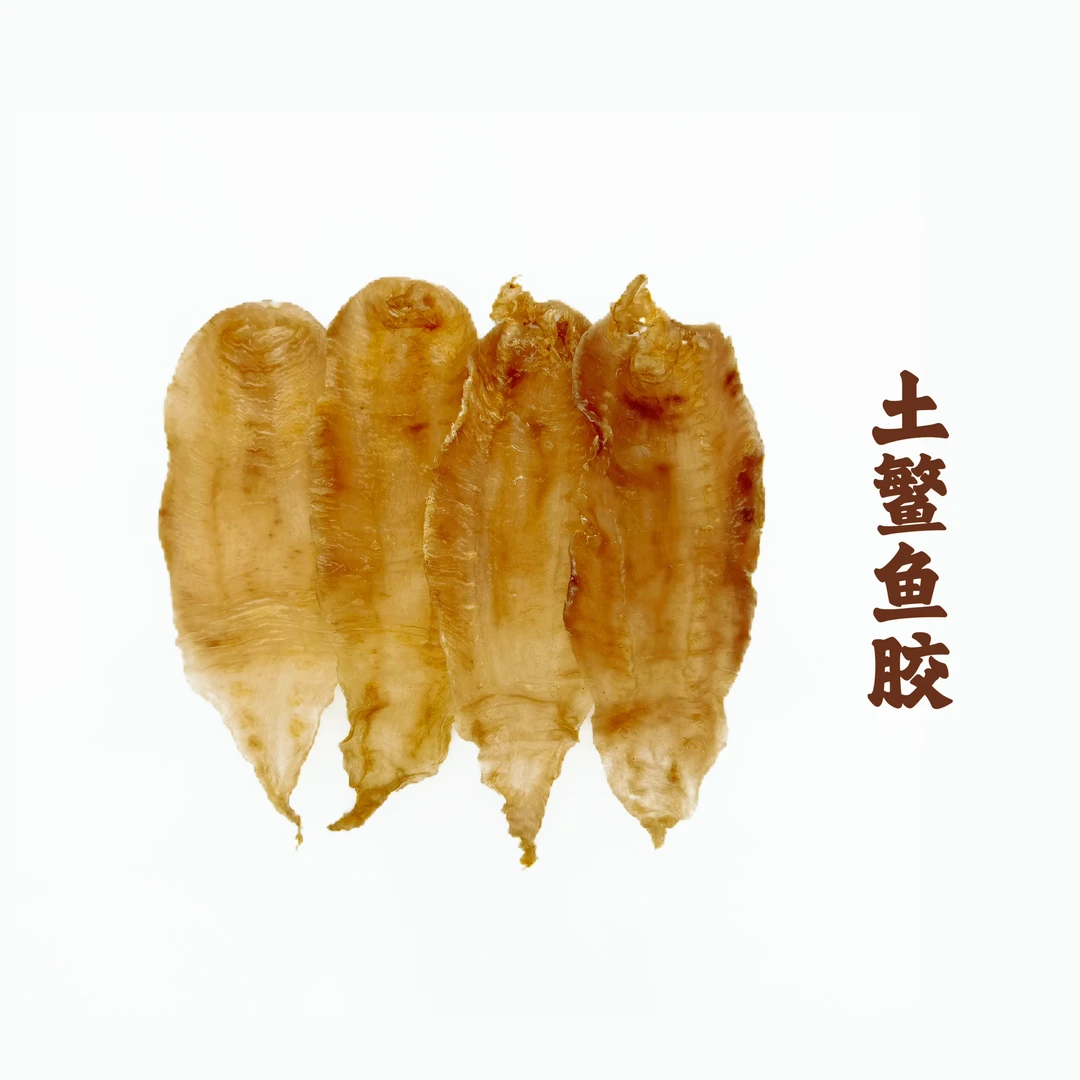 土鳘鱼胶花胶海产