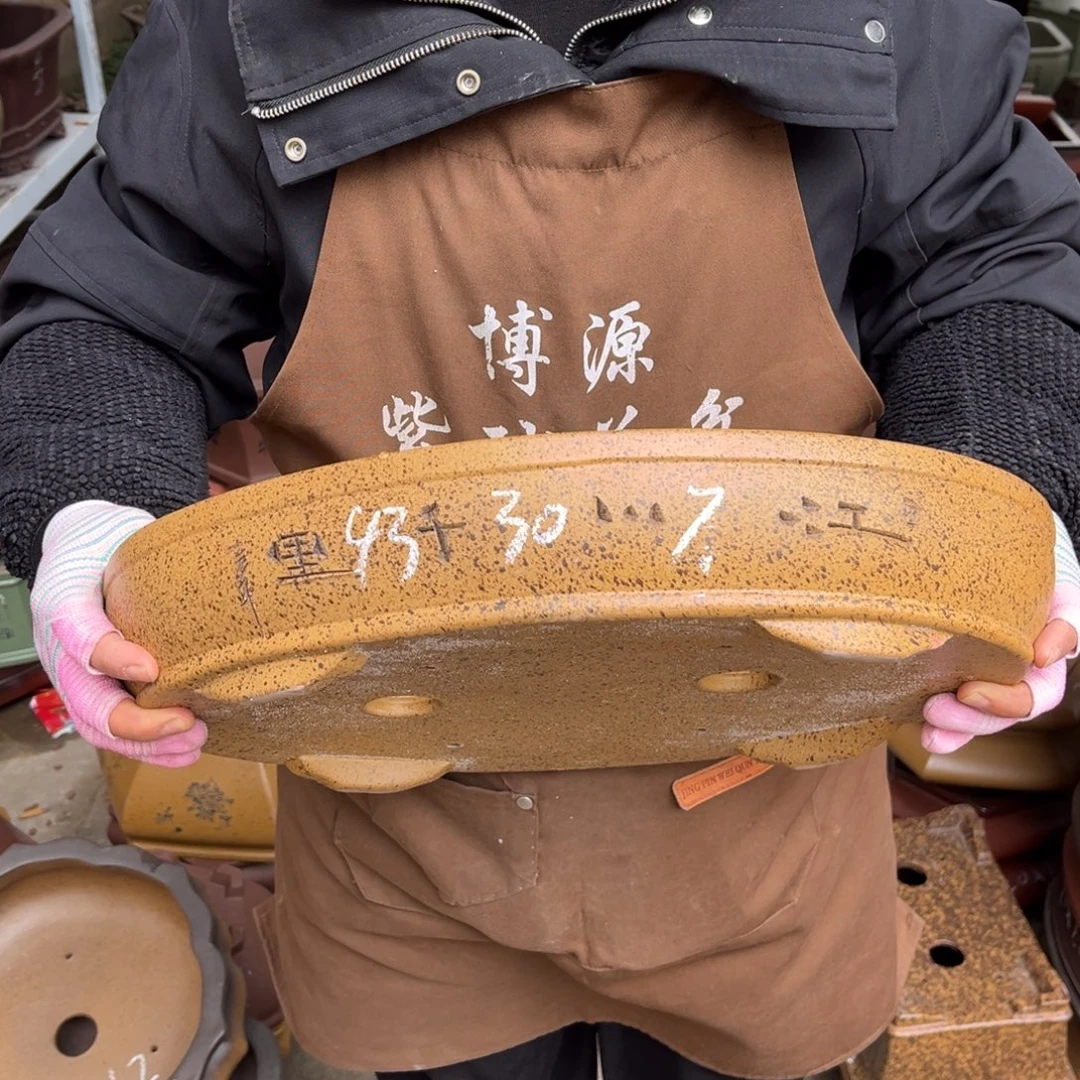 花盆紫砂盆景艺术