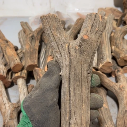 大果紫檀（缅甸花梨）河*洛