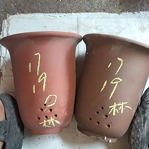 小金钟两个花盆林