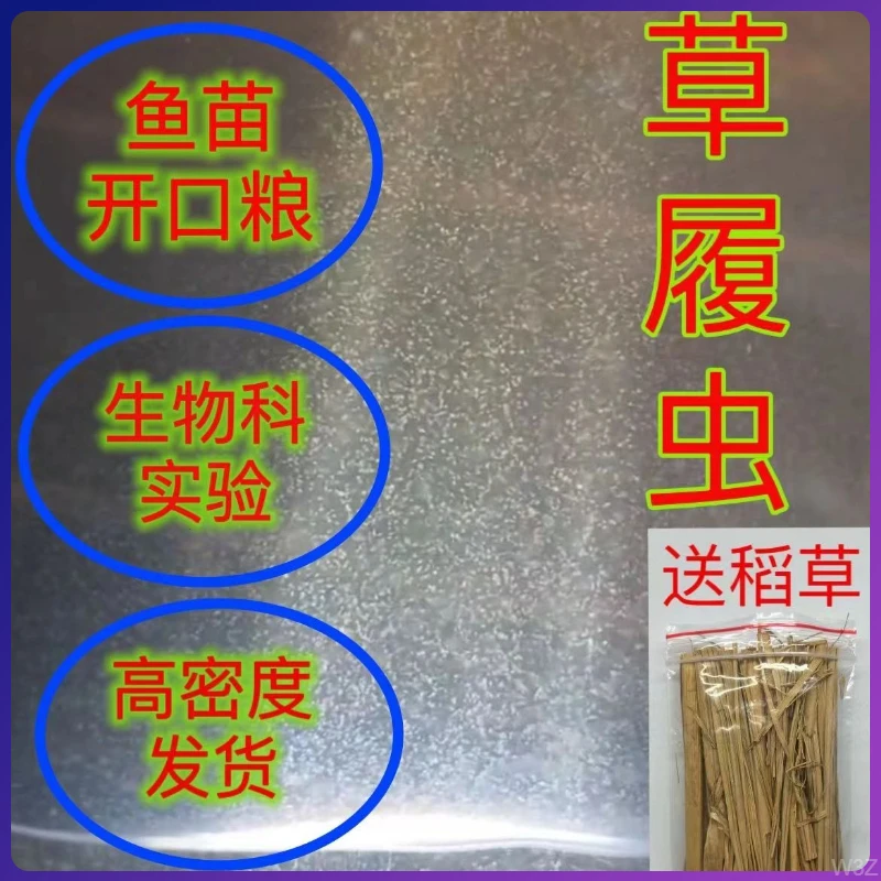 鱼饲料开口鱼过滤网小型的活实验教学鱼苗种水培养液洄草履虫幼鱼