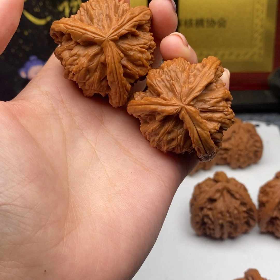?白狮子1111111111