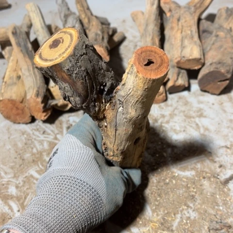 大果紫檀（缅甸花梨）嘀****嗒