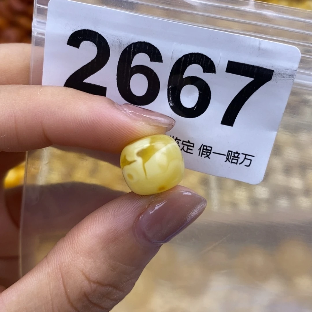 未镶嵌蜜蜡珠宝奇石11.5
