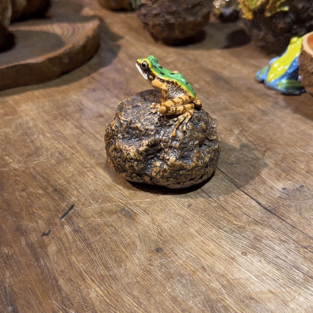 电话电话电话和电话的电话哈