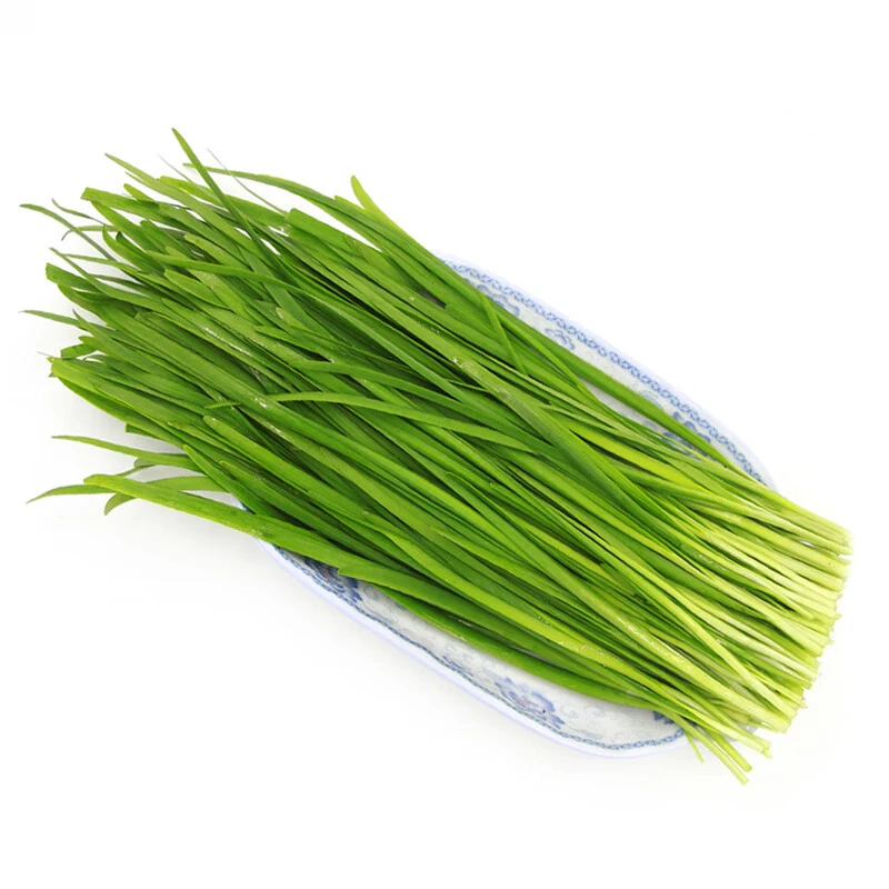 韭菜【每份重量约280g~320g】