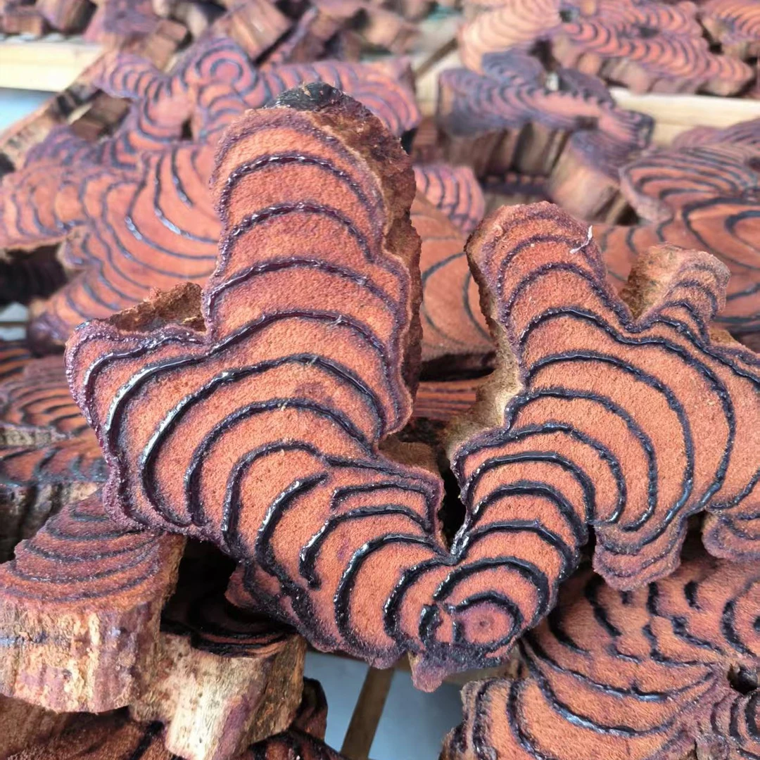 野生鸡血藤老藤新鲜鸡血藤自然晾晒无硫泡茶血藤煲汤正宗正品中药