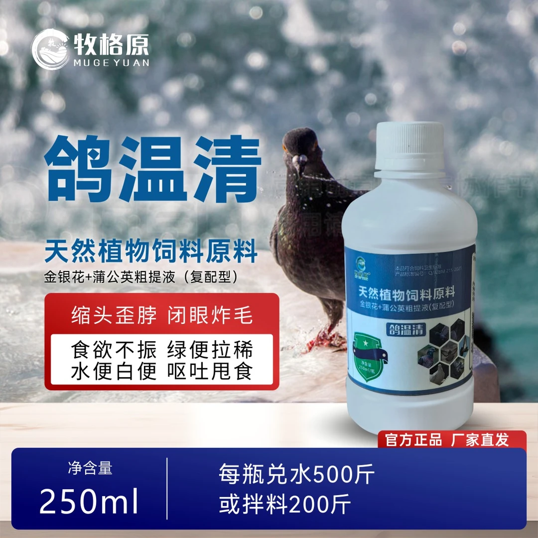 牧格原鸽温康鸽子鸟禽预防拉稀绿便新城疫甩头歪脖没精神添加剂