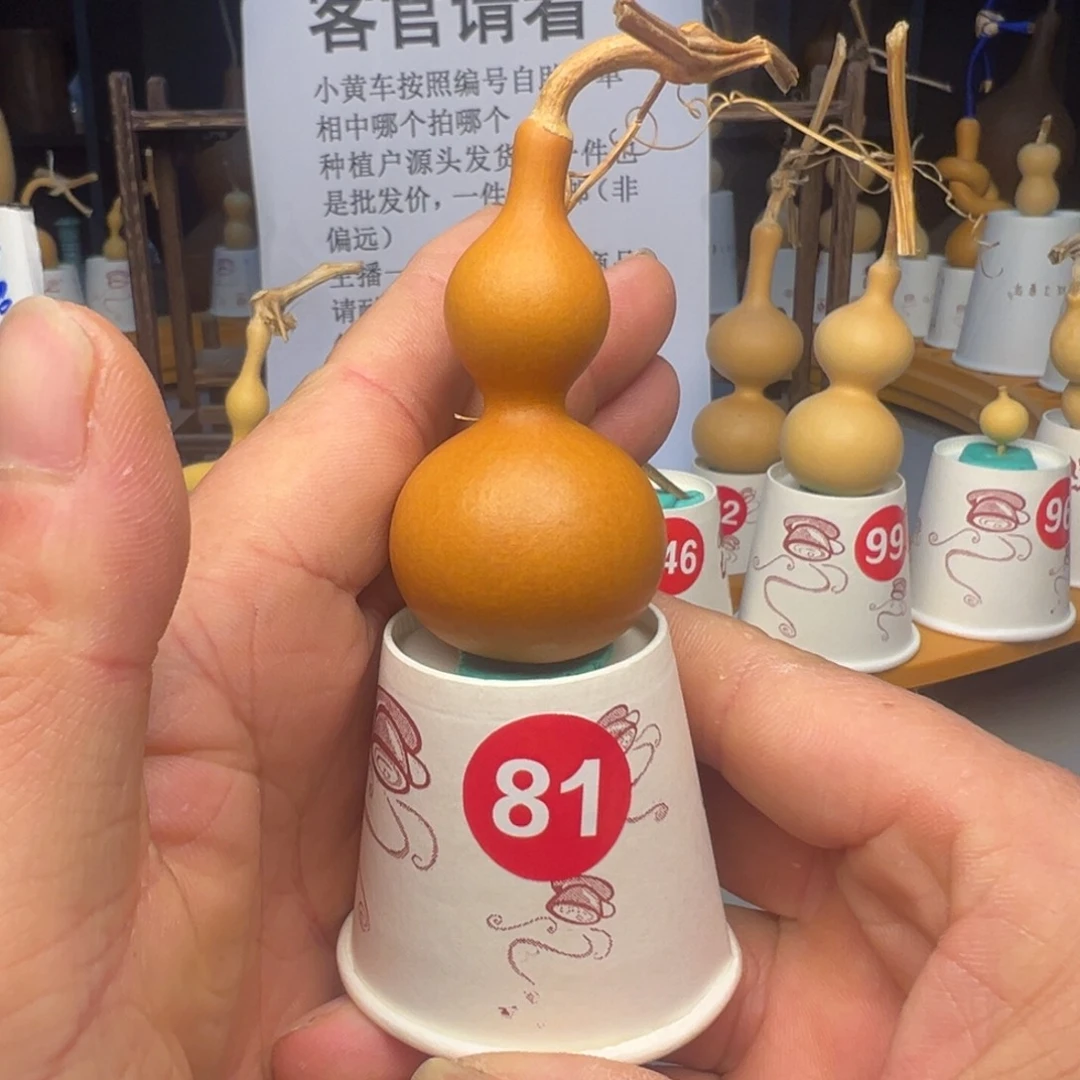 闪电购自助下单编号81