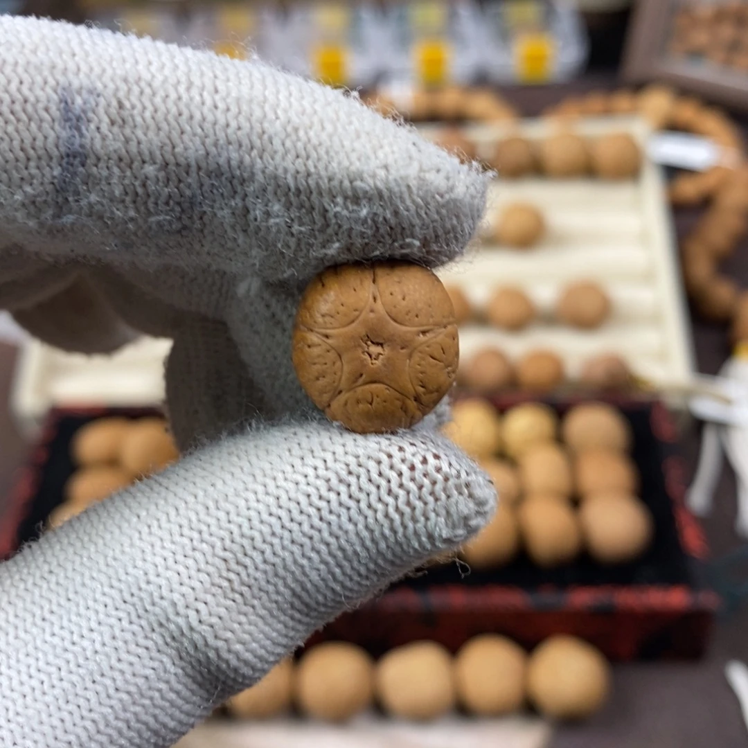 亚***大凤眼菩提吊坠14.8五星单颗