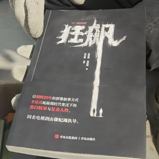 狂飙平装库存书（务必塑封）