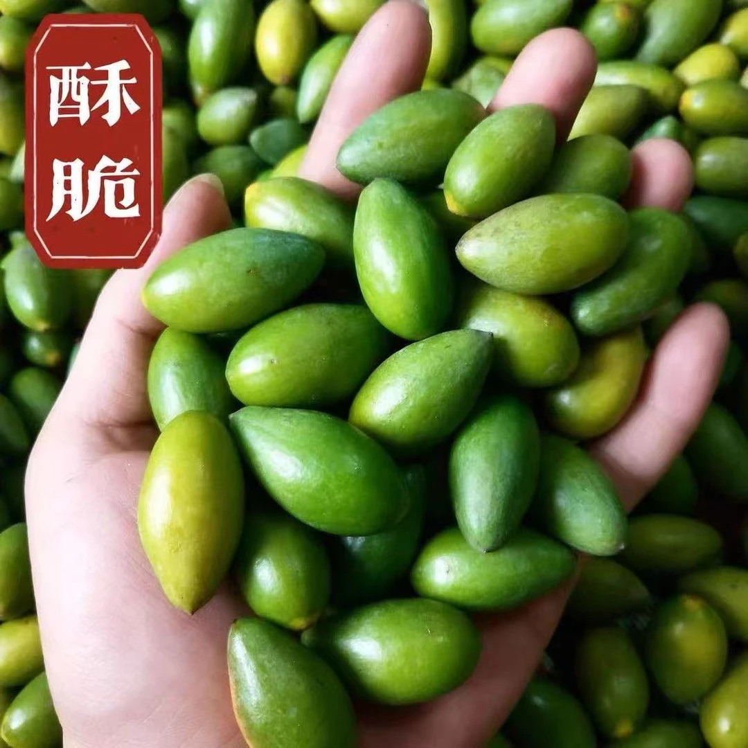 新鲜采摘清甜回甘可生吃的潮汕青橄榄煲汤泡酒佳选