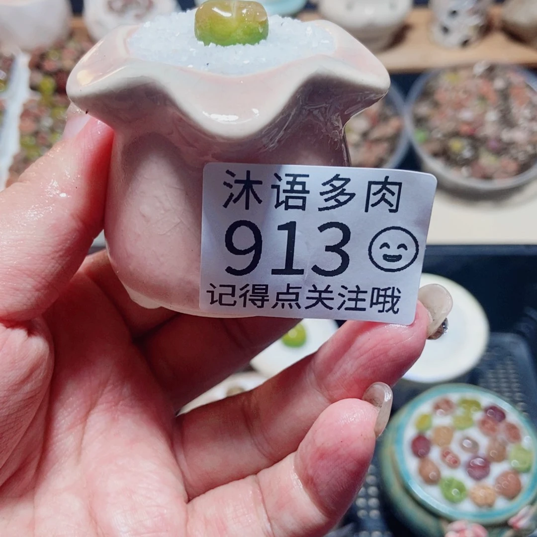一物一拍 所见即所得 913